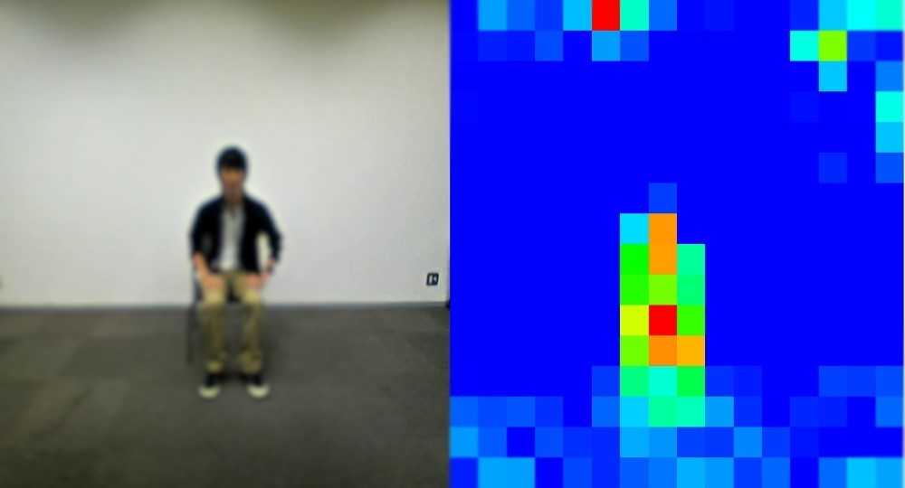 Human action recognition using infrared sensor arrays